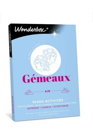 Box activites gemeaux