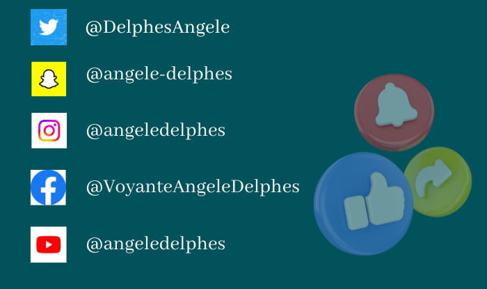 Réseaux sociaux Angèle Delphes